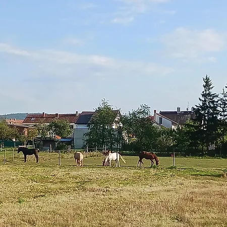 Apartament Jk